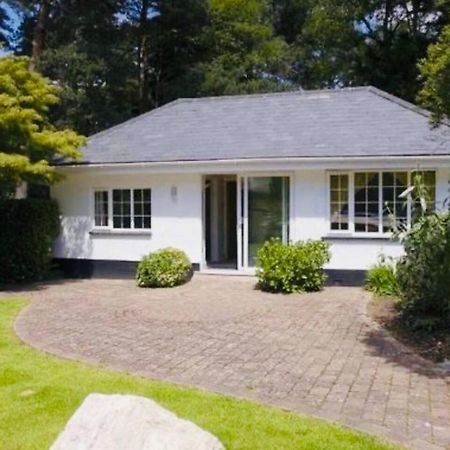 Chadham Pines Cottage Poole Exteriör bild